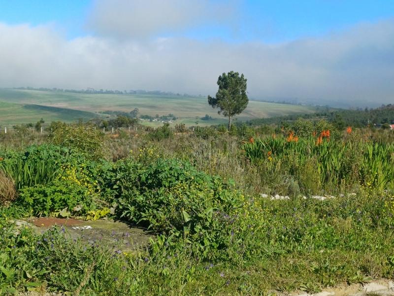 0 Bedroom Property for Sale in Middleton Western Cape